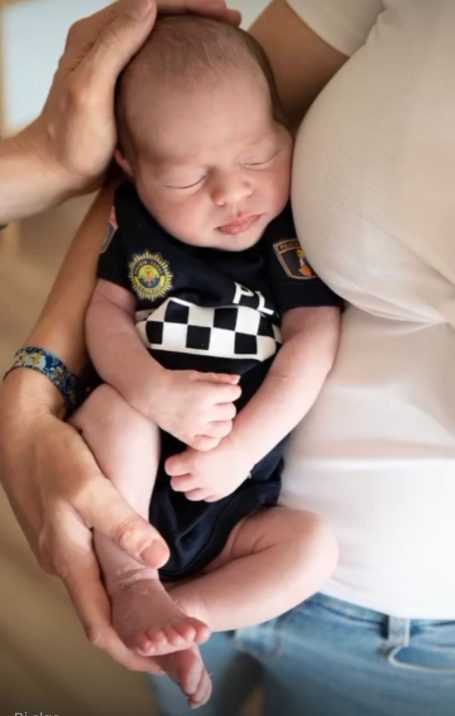 Bodies cuerpos del estado